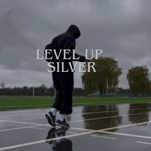 LEVEL UP SILVER